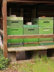 Mehr über den Artikel erfahren Das verflixte Bienenjahr 2022