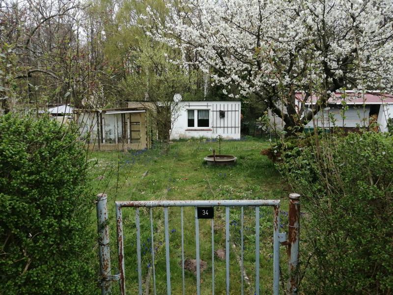Mehr über den Artikel erfahren Bienengarten Nummer 2
