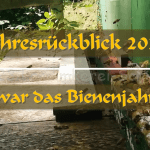 Jahresrückblick 2024