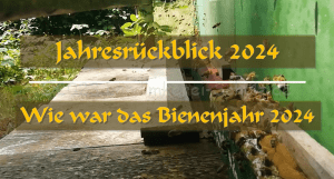 Mehr über den Artikel erfahren Jahresrückblick 2024