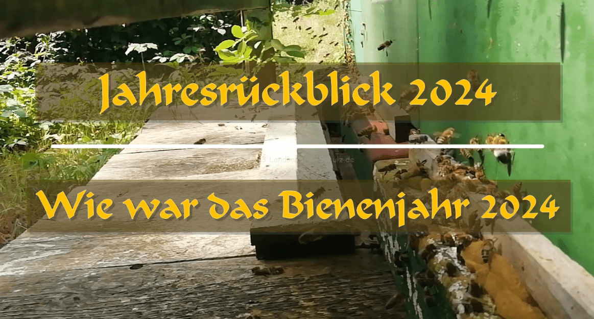 Mehr über den Artikel erfahren Jahresrückblick 2024