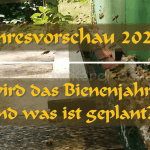 Jahresvorschau 2025