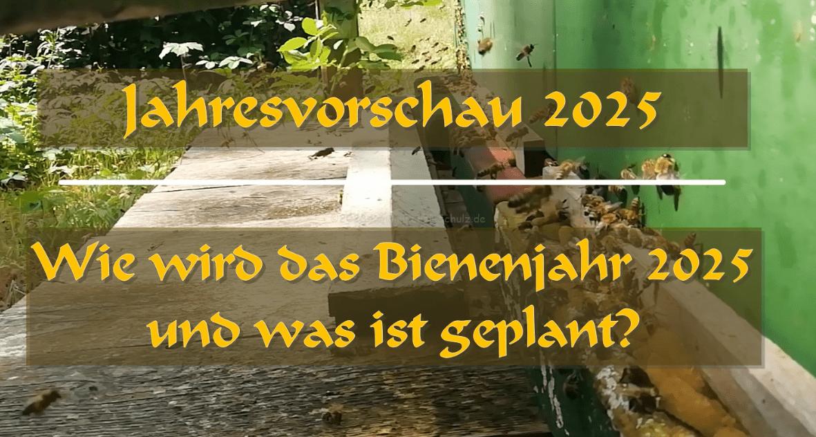 Mehr über den Artikel erfahren Jahresvorschau 2025